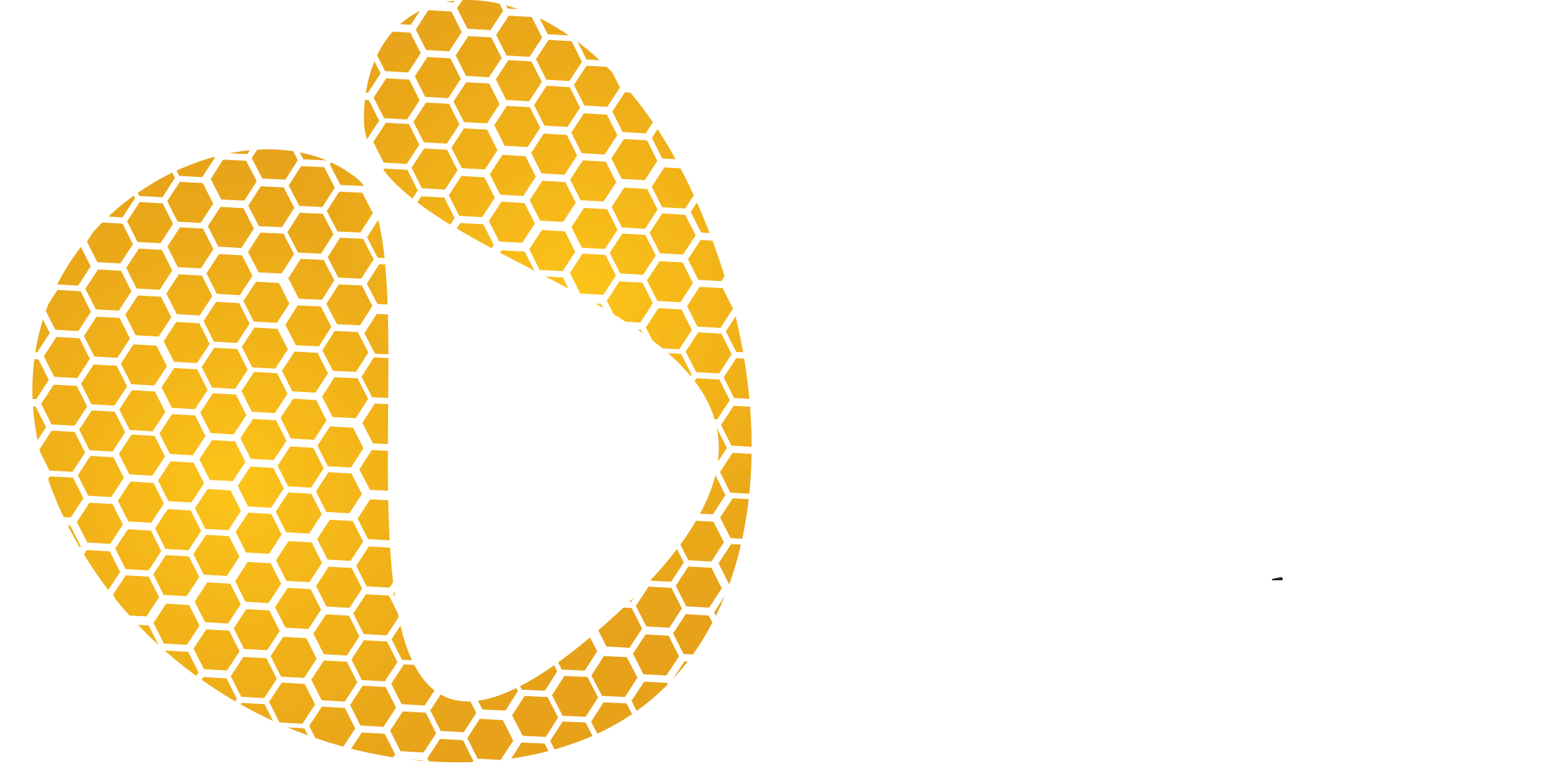 1060 Miele Ticinese di montagna